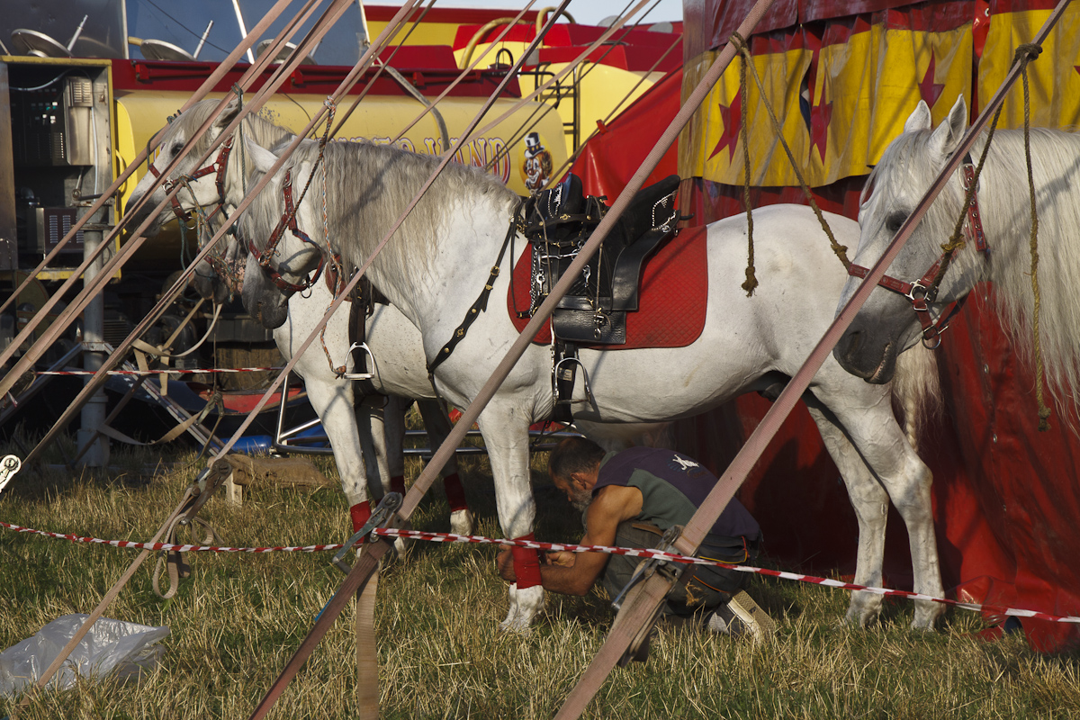 A Passing Circus