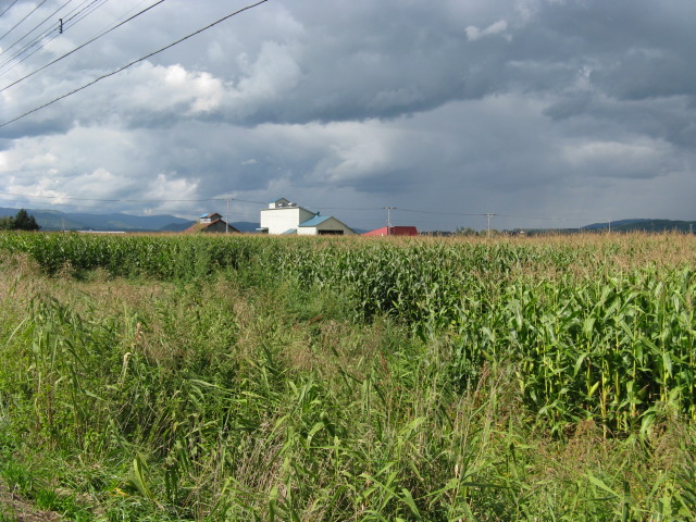 Lots of clouds but no rain yet.