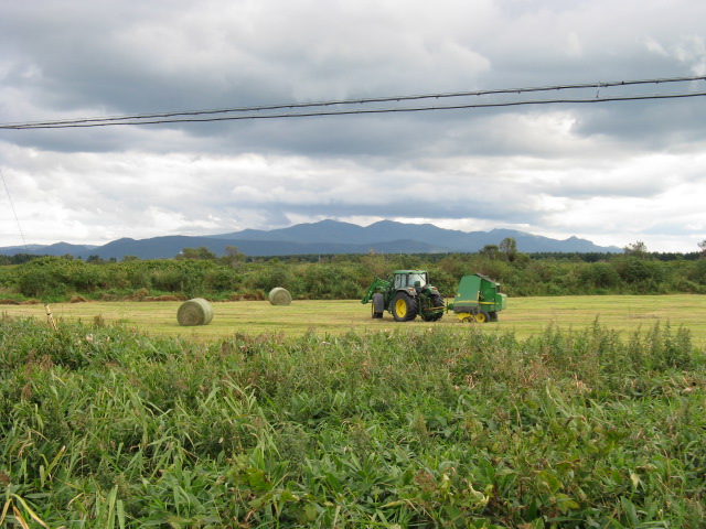 Farms turn to dairies as we go north. Camped on the coast at a roadside hotel w/ a campground.