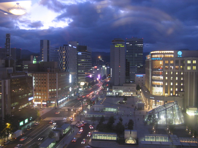 Sapporo at night during our visit of downtown