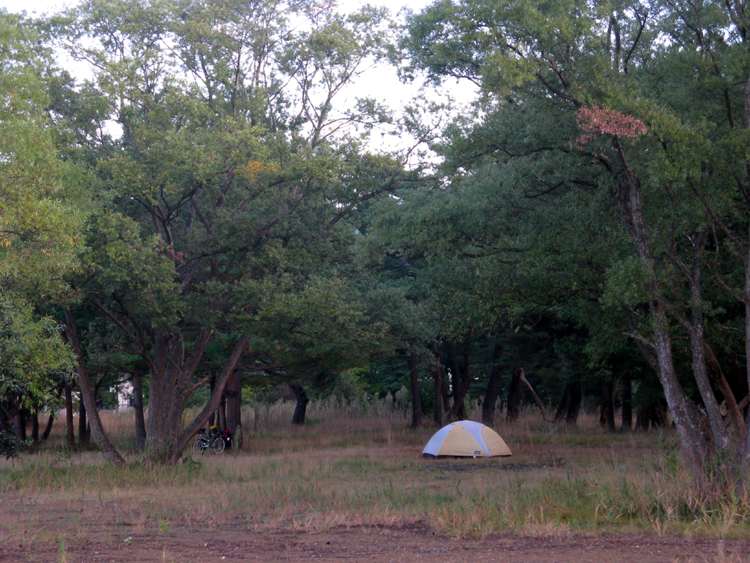 Our stealth campsite off Lake Inawashiroko. The campground was closed.