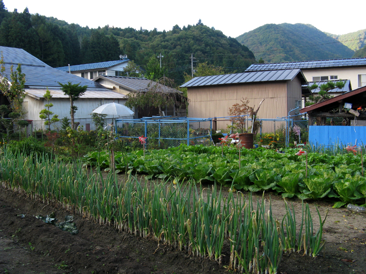 A garden envied by any gardener.