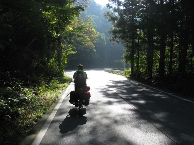 On the road again within the dense forest.