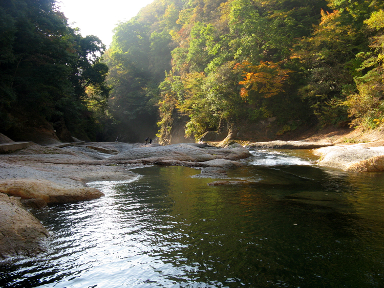 Morning light on the river.
