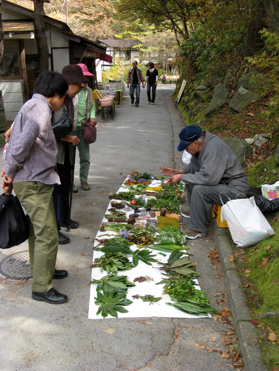 Learning about the local plants.