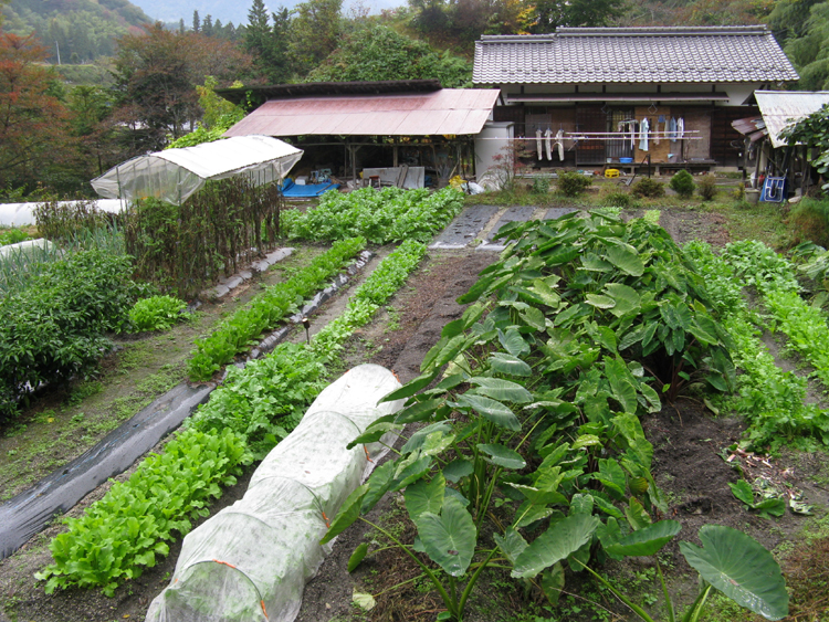 The trail passes homes as well as some shops and ryokans.