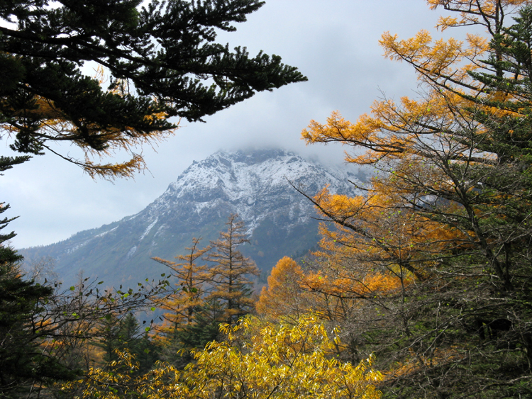 Mountain Light.