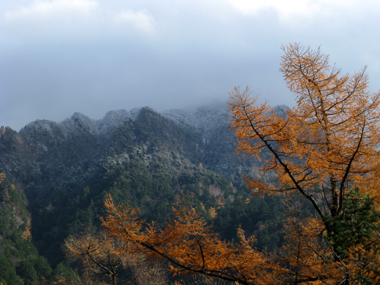 Mountain Light.