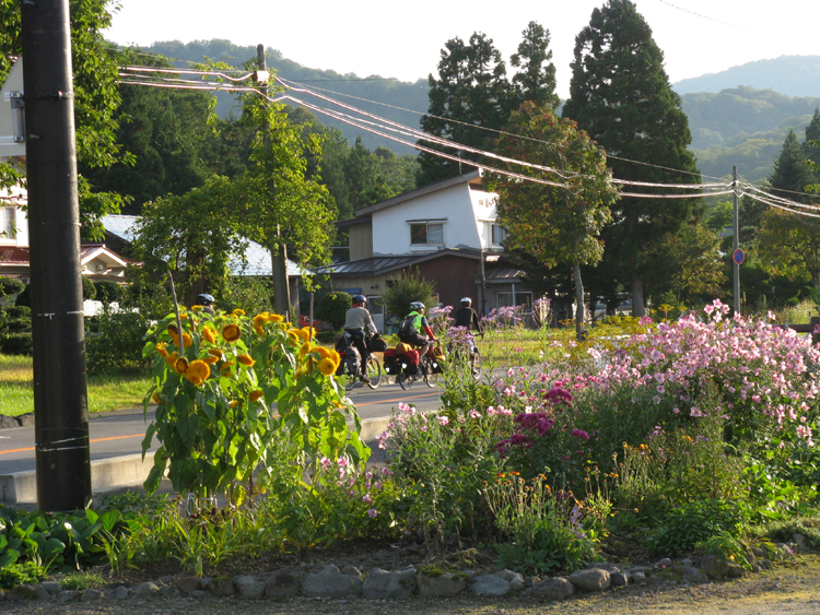 We often see colorful flowers during our tour.
