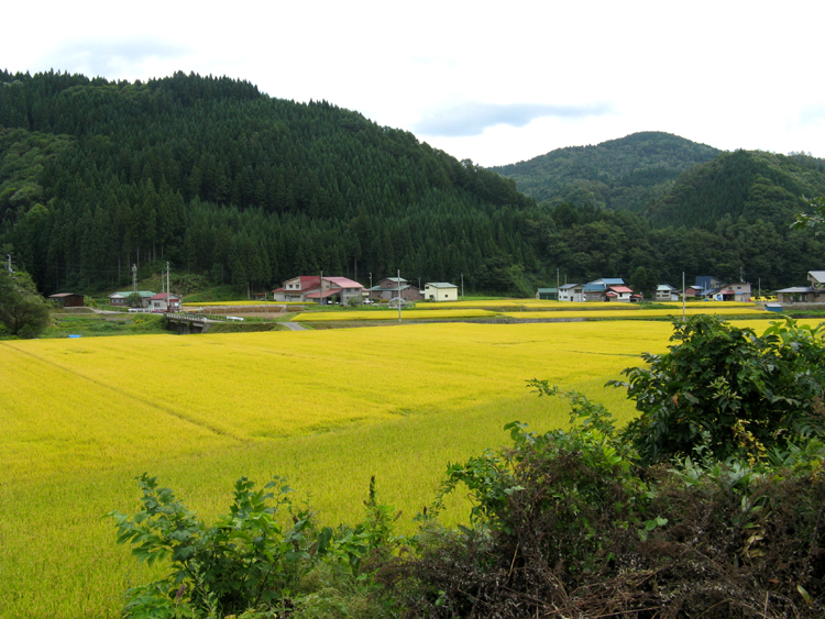 The landscape. Today we encountered heavy traffic and afternoon thundershowers.