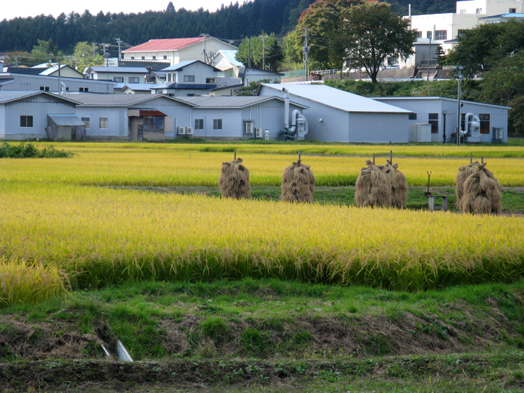 I spend the day exploring the area around Odate city.