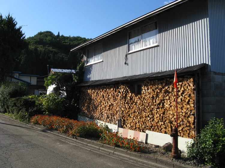 Firework for the coming winter.
