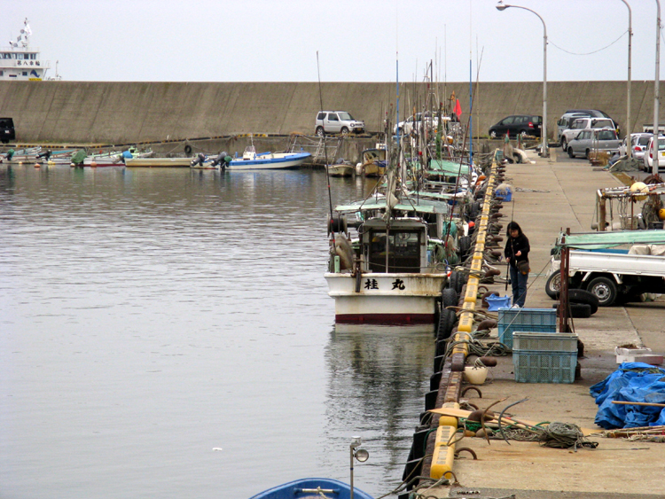 On the fishing dock.