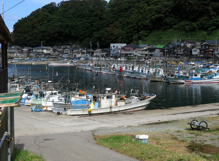 I wonder how the fishing is?
