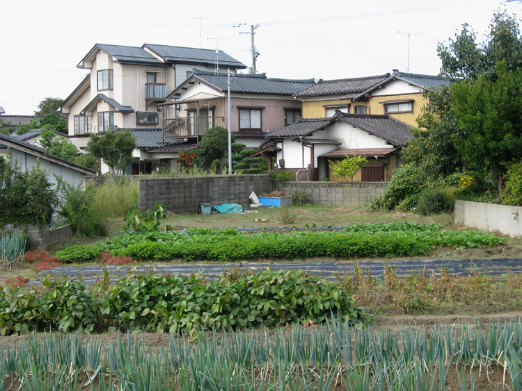 Locals gardens still abound.