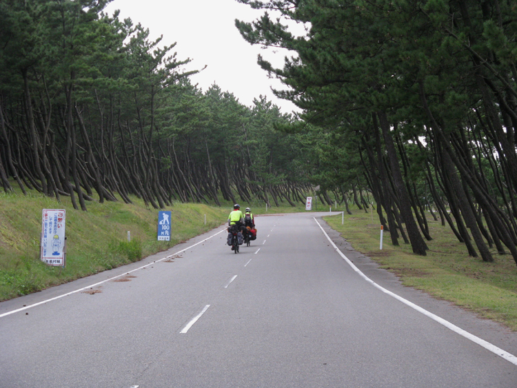 Heavy traffic today. Road to the campground. It must be windy here.