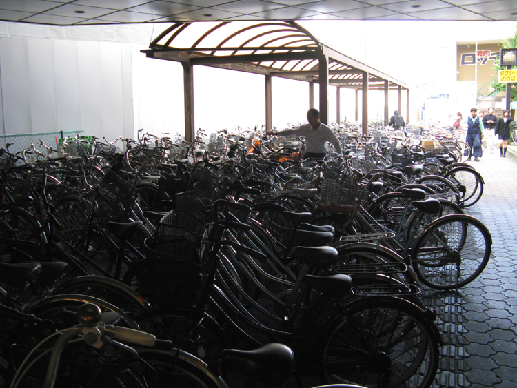 I dont know how they find their bikes. They all look the same.