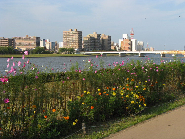 A river view