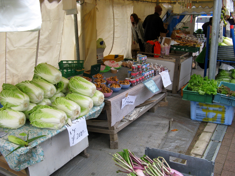 Japanese Cabbage