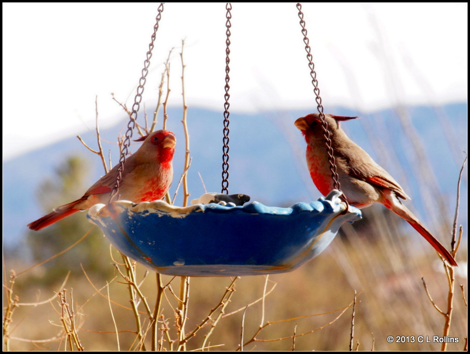 P1122395 2013 Jan