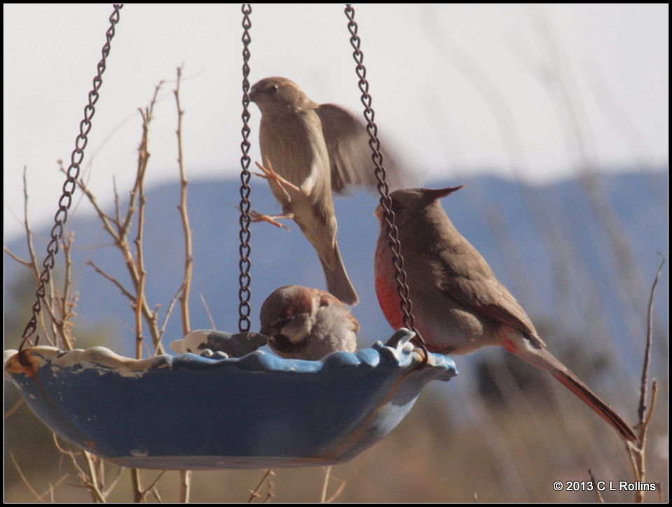 P1122415 2013 Jan