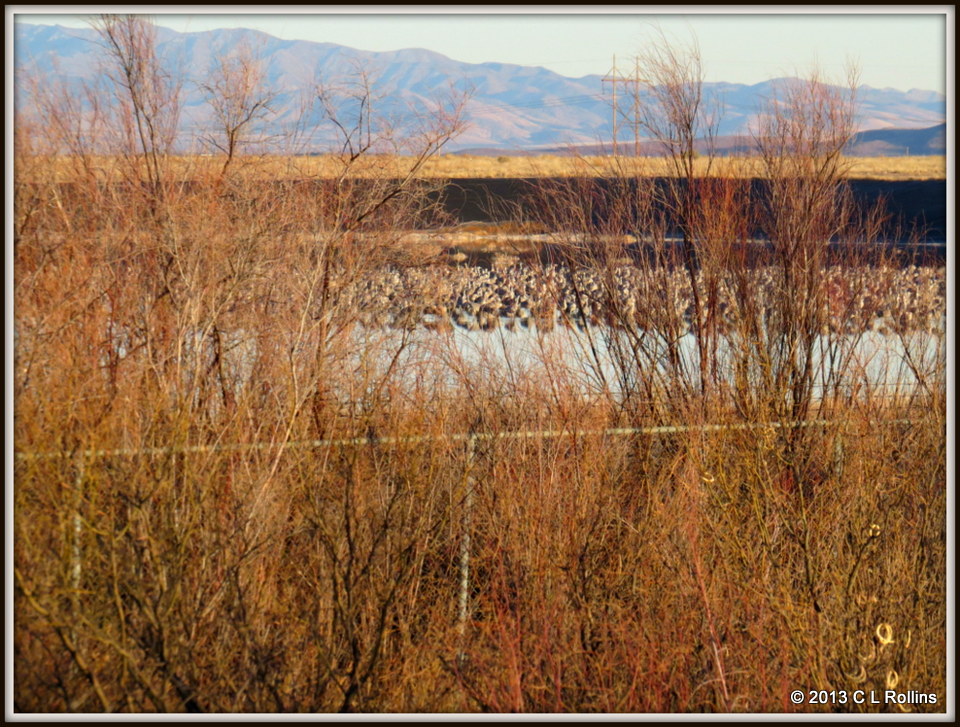 IMG_0076 2013 February