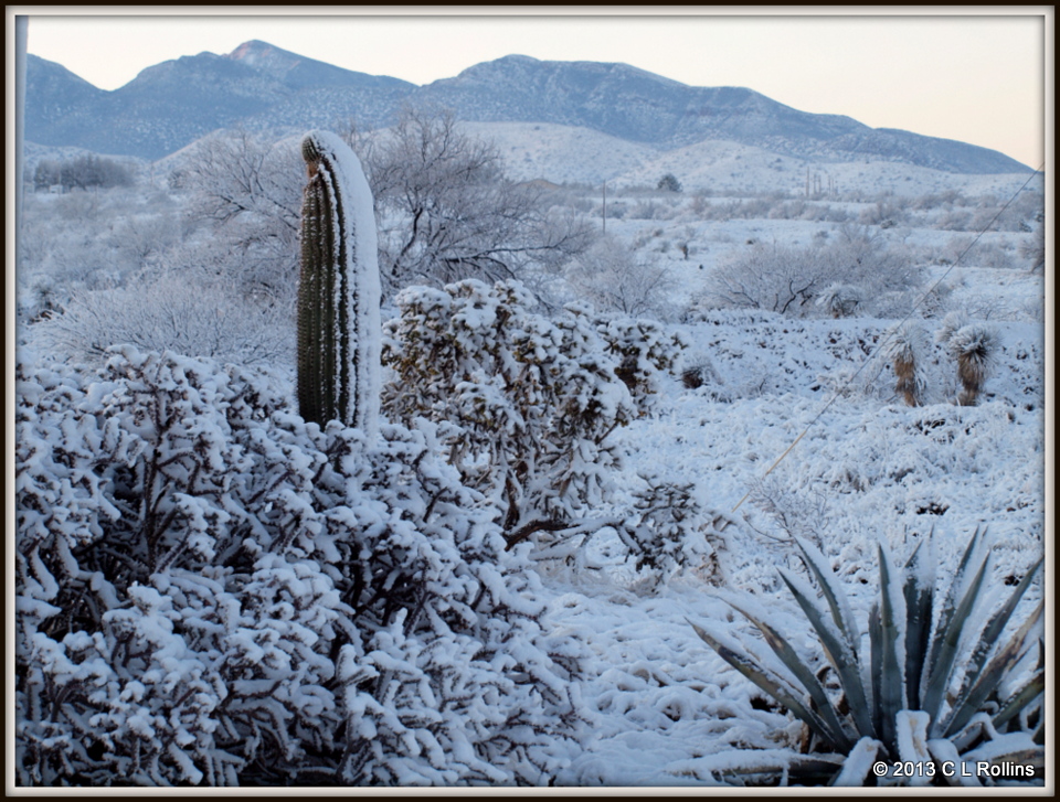 P2124781 2013 Feb