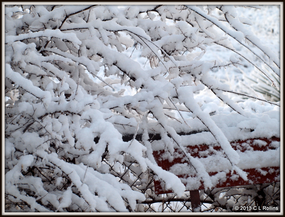 P2124778 2013 Feb