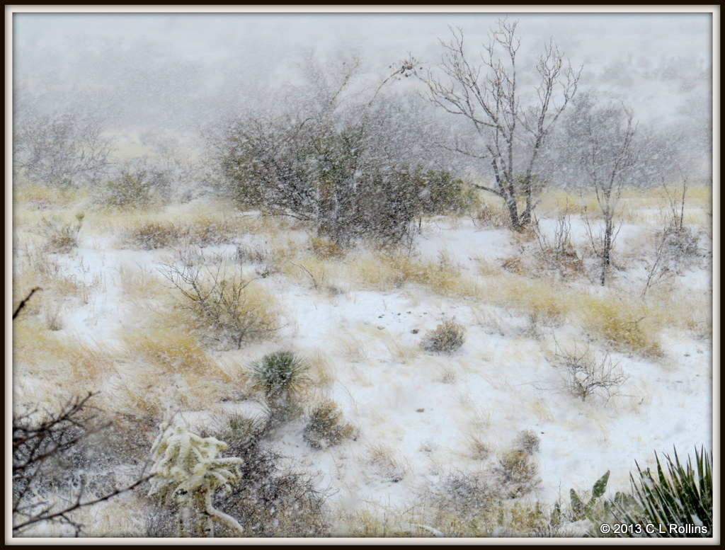 IMG_0852 More Snow!