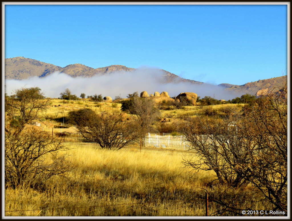 IMG_0939 Morning Fog