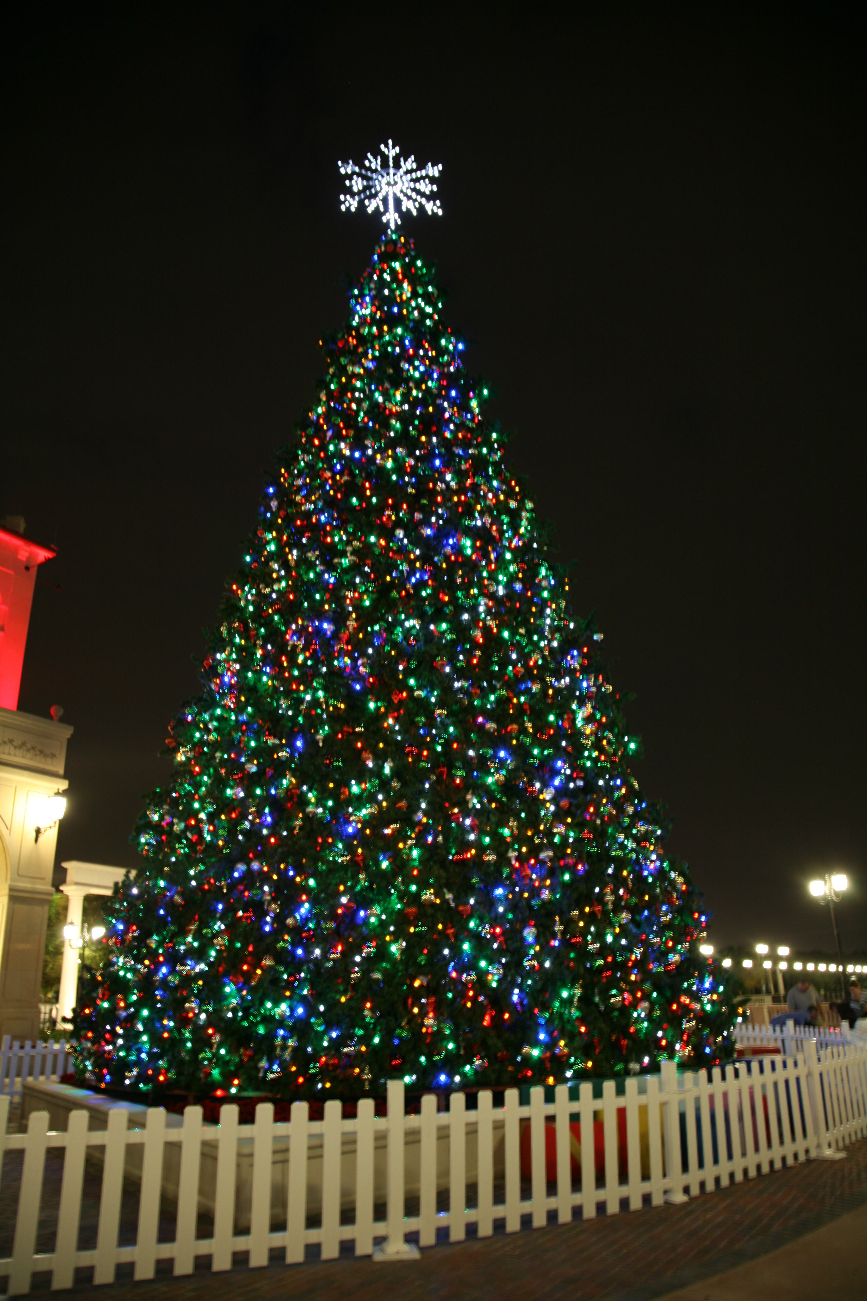 Altamonte Springs FL - 2008