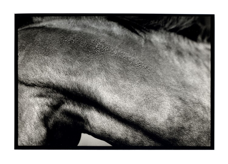 Cuir_Et_Sable  (FB Warm Tone Print)