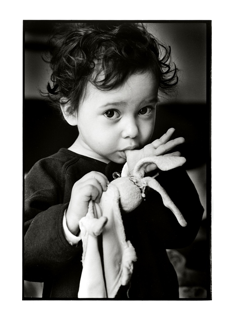 Jade  (FB Warm Tone Print)