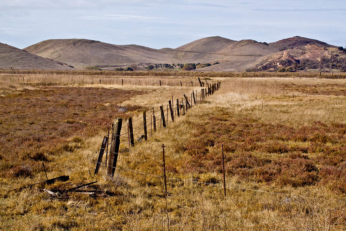 Old fence, older hills_MG_4993.jpg