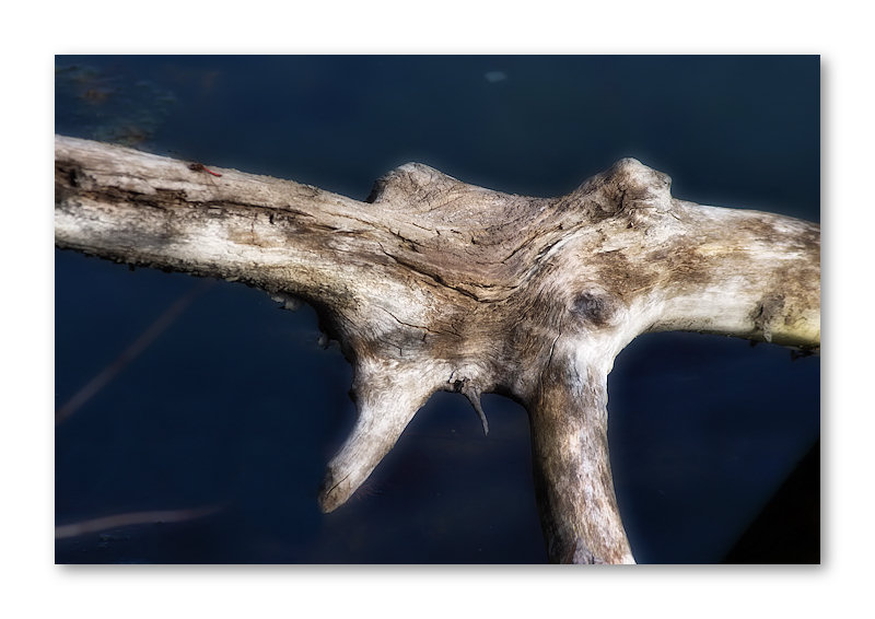 Old and weathered