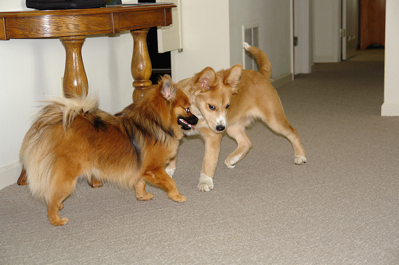 So, you want to Play!