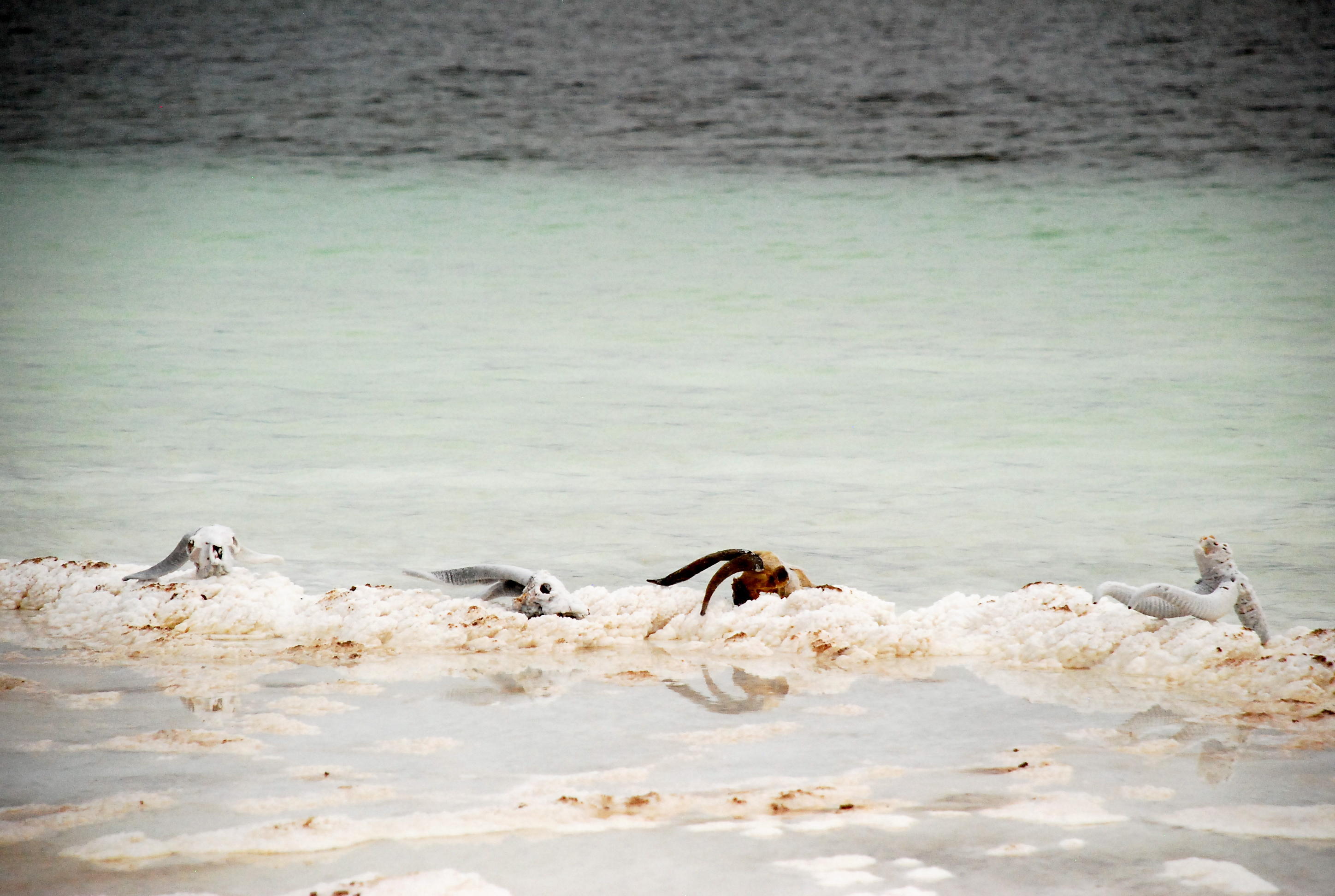DSC_1144.JPG