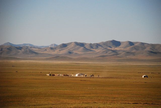 DSC_1470.jpg