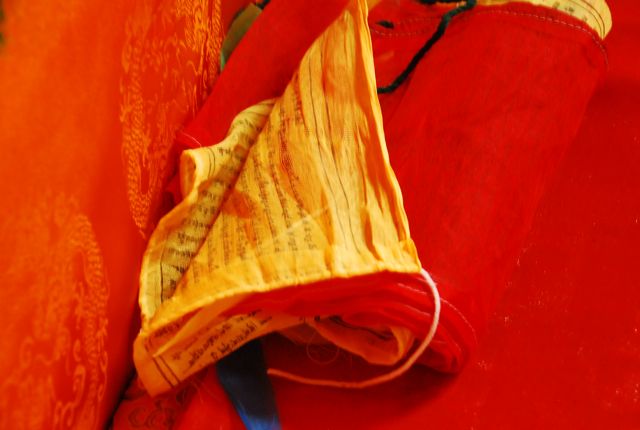 DSC_1575.jpg