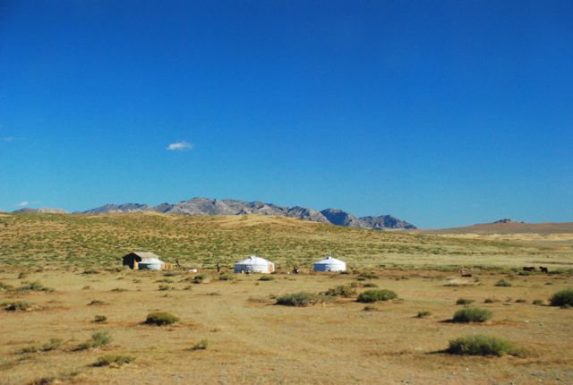 DSC_1686.jpg