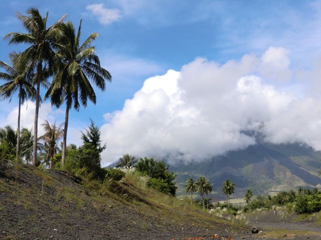 CIMG0296.jpg