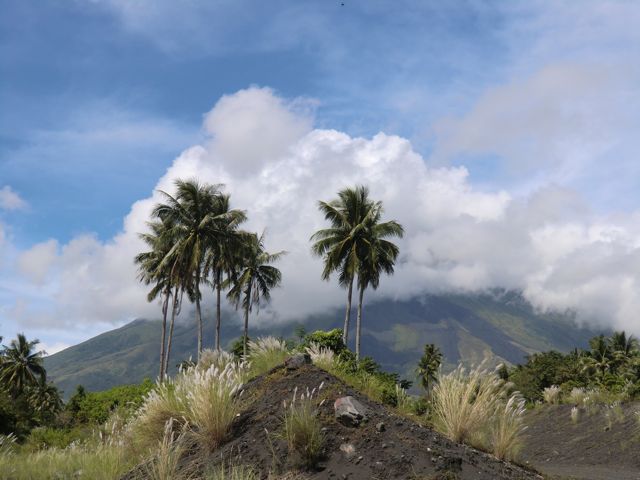 CIMG0298.jpg