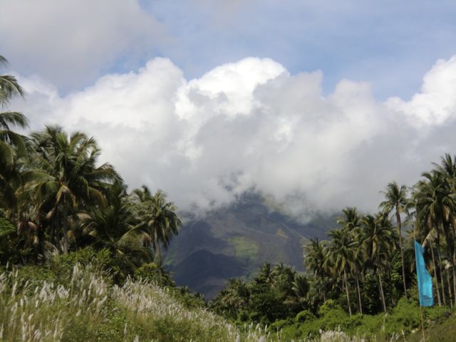 CIMG0304.jpg