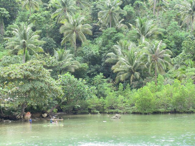 CIMG0322.jpg