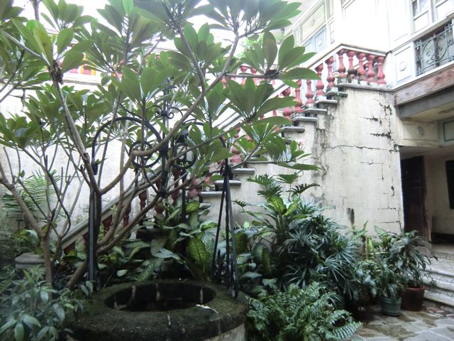 CIMG0355.jpg