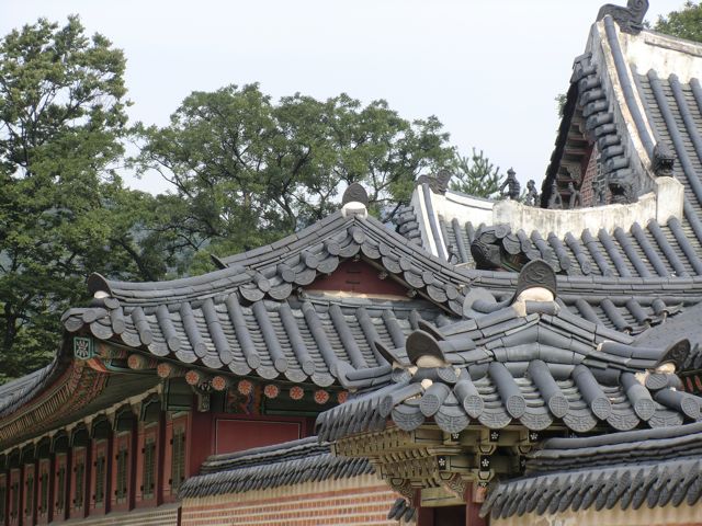 CIMG0060.jpg