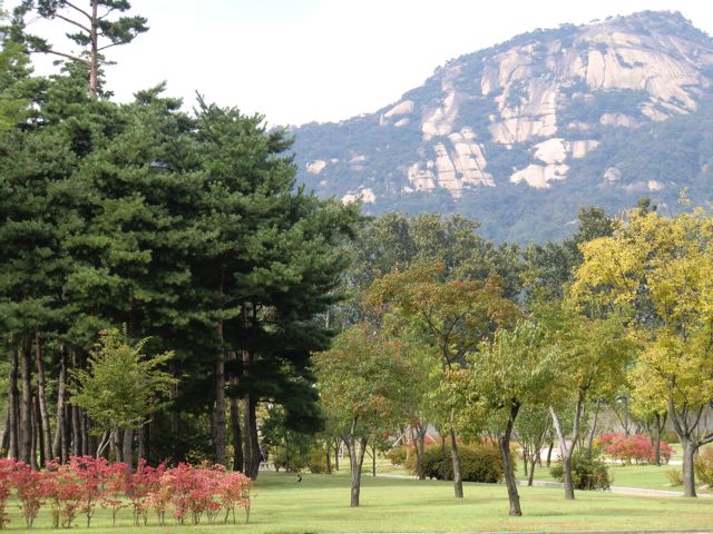 CIMG0064.jpg