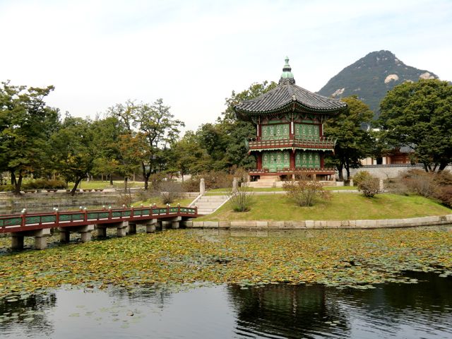 CIMG0079.jpg
