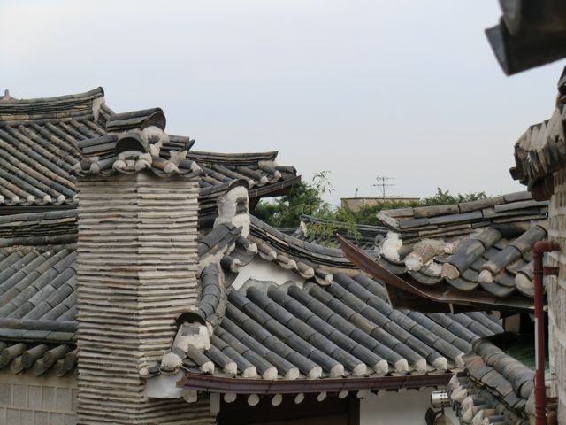 CIMG0098.jpg