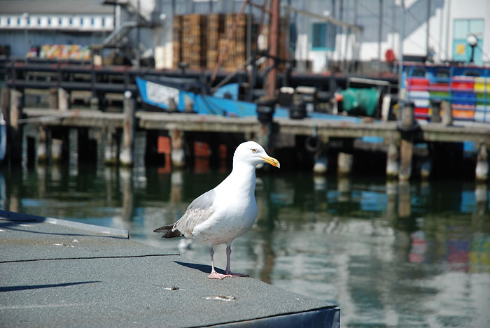 Insel Rgen Sassnitz